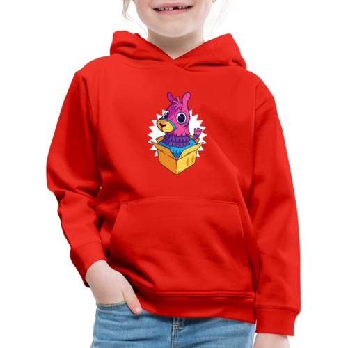 Pull à capuche Premium Enfant - JEMSO